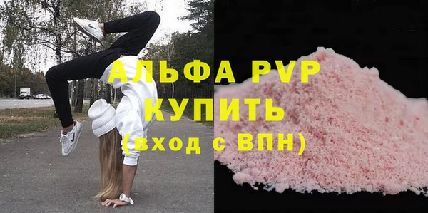 стафф Ладушкин