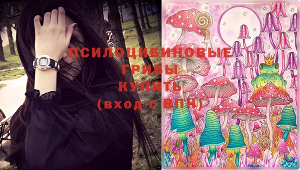 тгк Липки