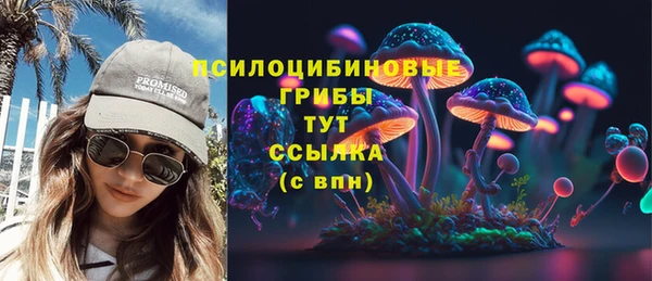 шишки Магас