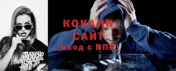 шишки Магас