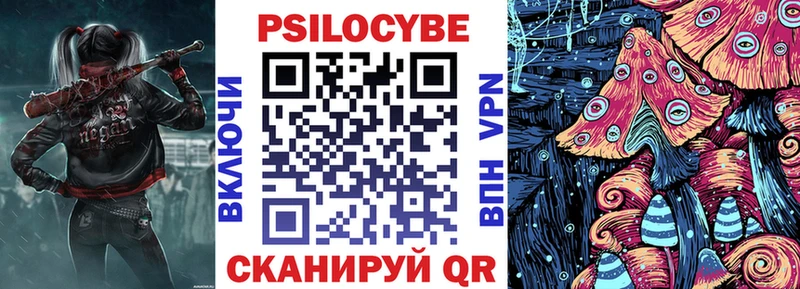 наркота Ладушкин Галлюциногенные грибы Cubensis